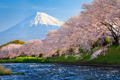 【日本】本州威斯汀假日雙古都6日游（成田進大阪出）