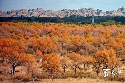 【南北疆】 新疆天山天池、火洲吐魯番、人間凈土喀納斯雙飛8日游
