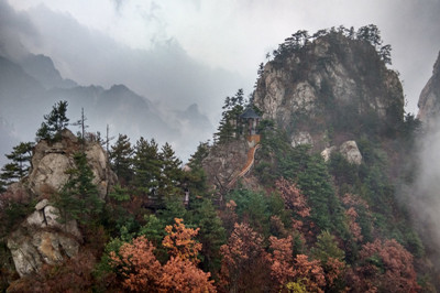【河南】5A景區(qū)老界嶺1日游（買(mǎi)2送1）