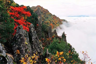 【安康】南宮山+香溪洞、安康博物館兩日游